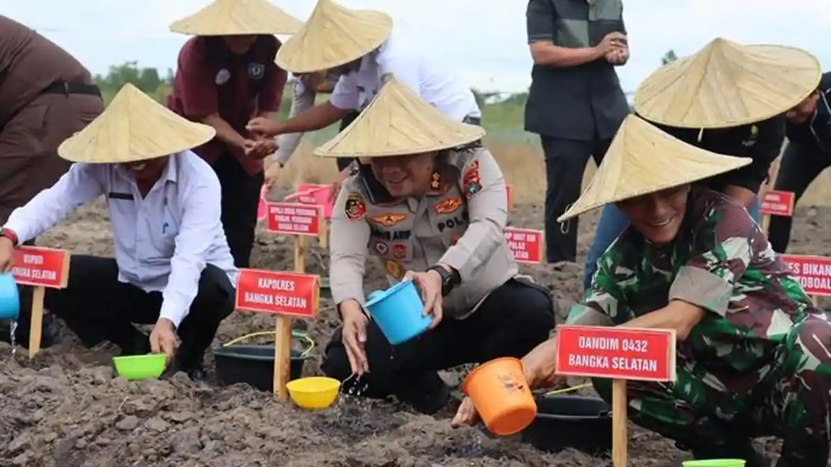 Polres Bangka Selatan Dukung Program Ketahanan Pangan, Sepanjang 2025 Panen 49,75 Ton Jagung
