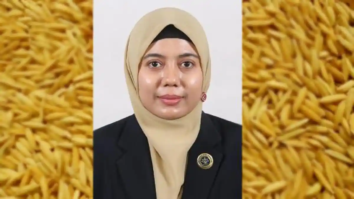 Proses Tempering pada Pengeringan Gabah dapat Meningkatkan Kualitas Beras yang Dihasilkan