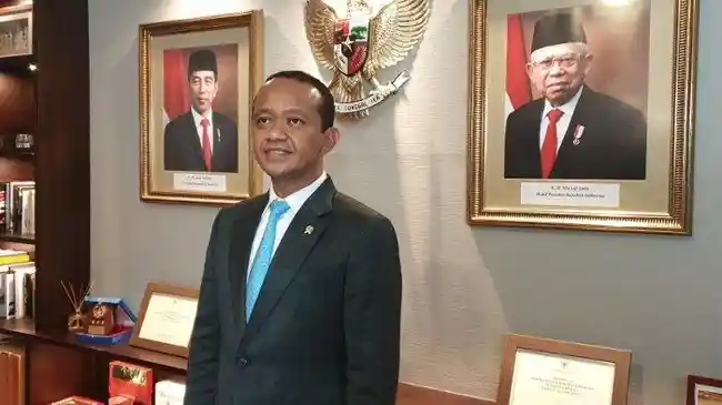 Tribun