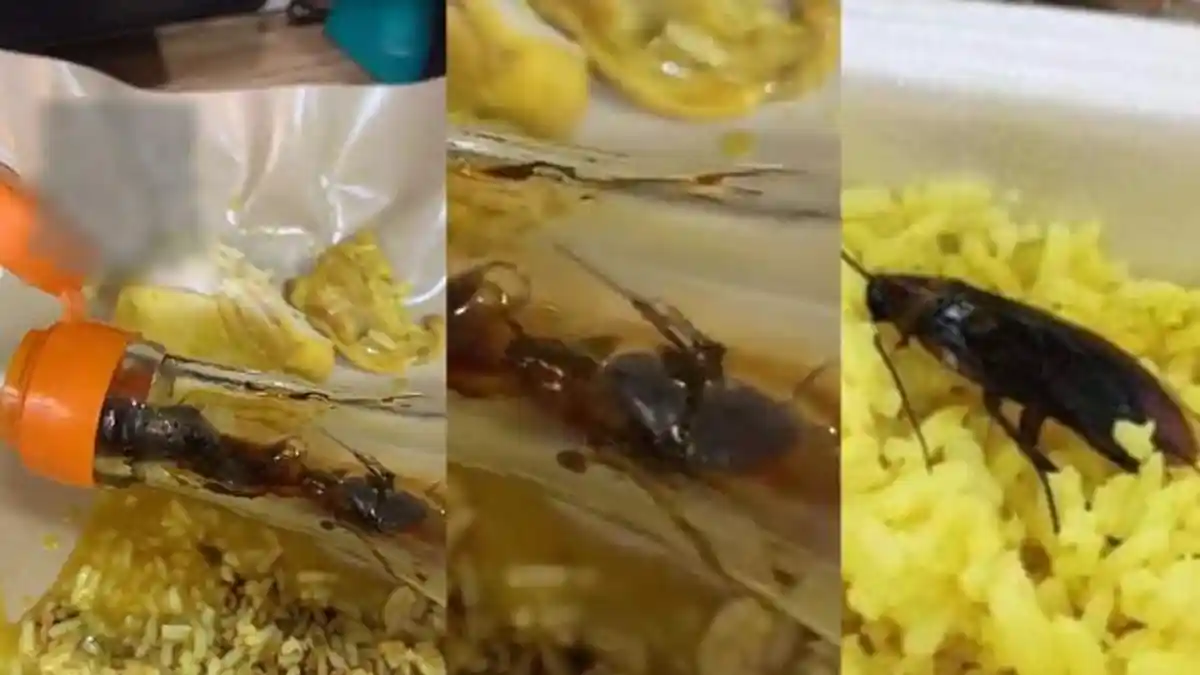 Sudah Makan 3 Suap, Gadis Ini Hilang Selera Mendadak Lihat Kecoak di Botol Kecap, Jijik!