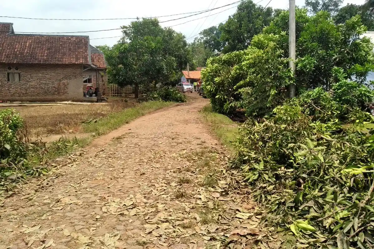 HUT ke-20 Banten, Kondisi Jalan Rusak dan Tak Beraspal di Pandeglang, Warga: Pemerintah Hanya Janji