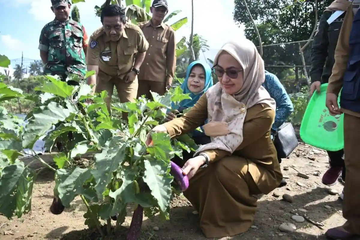 Bupati Luwu Utara Cek Tanaman Sayur KWT Mawar Desa Saptamarga