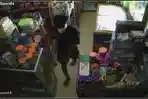 pria-terekam-kamera-CCTV-mencuri-uang-dan-rokok-di-warung-Pomalaa-Kolaka-Sultra.jpg
