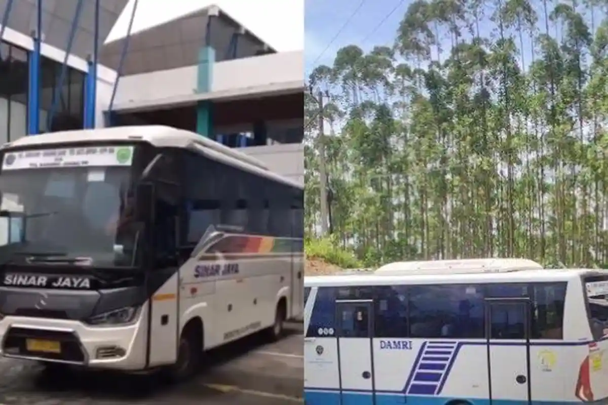 Jadwal dan Rute Bus Balikpapan - IKN Nusantara, Ada DAMRI dan Sinar Jaya, Cek Titik Naik dan Turun