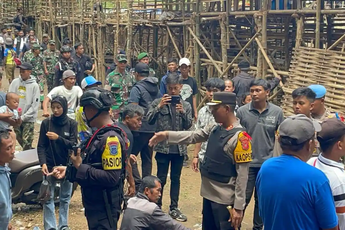 Polisi dan TNI Gerebek Arena Ketangkasan Anjing Memangsa Babi di Pangandaran