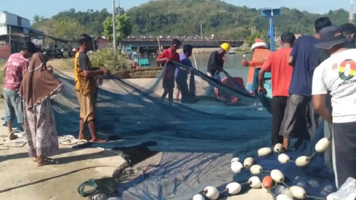 Kawanan Lumba-lumba Gigit Jaring Nelayan Pidie Jaya, Berbagai Jenis Ikan Lepas
