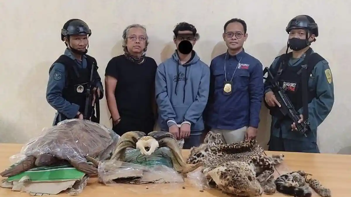 Gakkum KLHK Ciduk Penjual Organ Tubuh Satwa Dilindungi Via Online