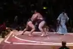 Petarung Sumo Saling Menjatuhkan