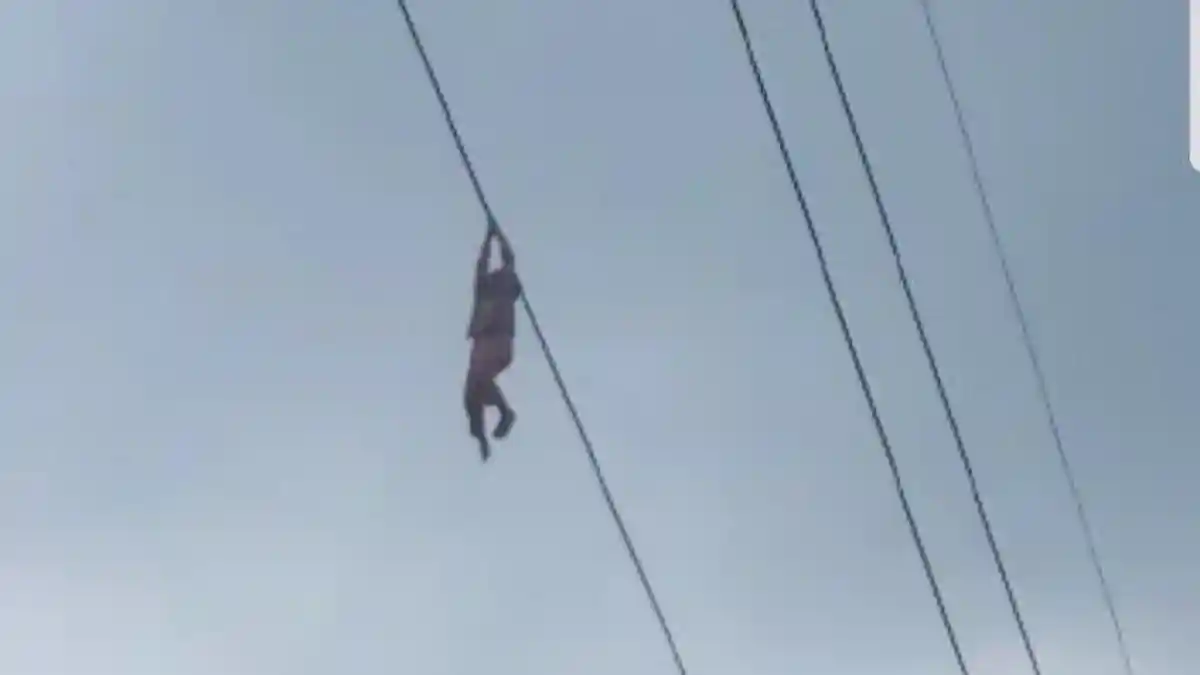 PLN Akhirnya Minta Maaf Soal Bocah Bergelayut di Kabel Sutet Setinggi 15 Meter di Tangerang