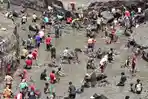 Pengeringan Dam Blambangan untuk Sambungan Musim Tanam Dimanfaatkan Warga Untuk Berburu Ikan