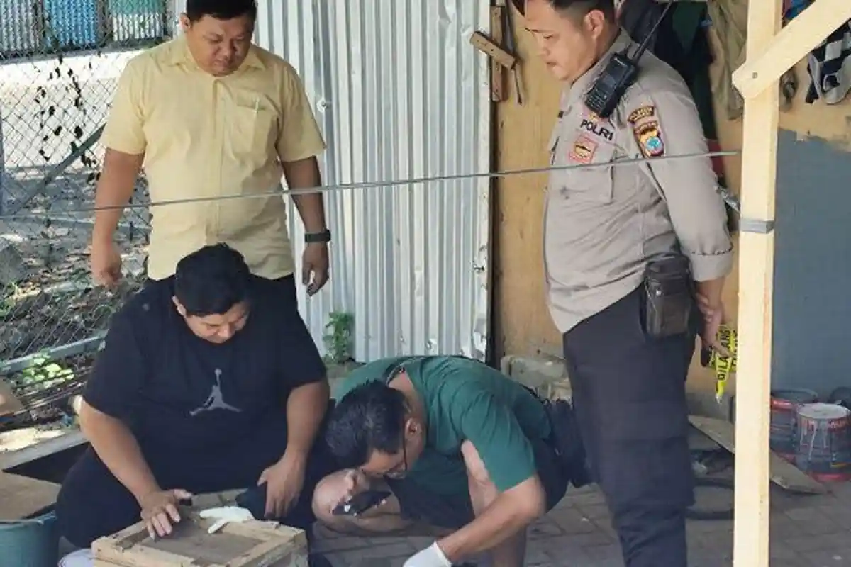 Kronologi Penemuan Mayat Bayi dalam Kardus di Kompleks Bahu Manado Sulawesi Utara