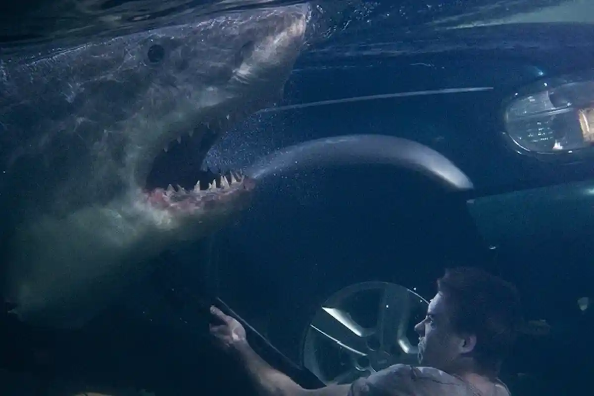 Sinopsis Film 'Bait' Dibintangi Xavier Samuel, Tayang Malam Ini 23.00 WIB di Bioskop TRANS TV