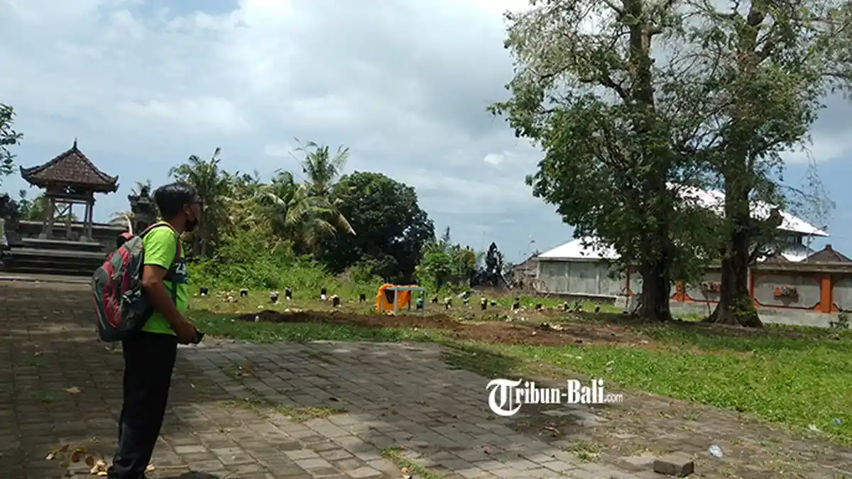 Ratusan Burung Pipit Jatuh dan Mati di Gianyar, Begini Tanggapan BKSDA Bali
