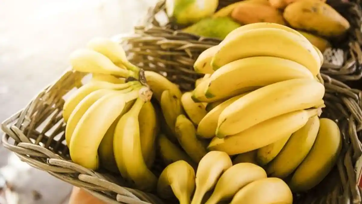 Mau Tahu Dampak Buruk dari Kelebihan Makan Pisang?