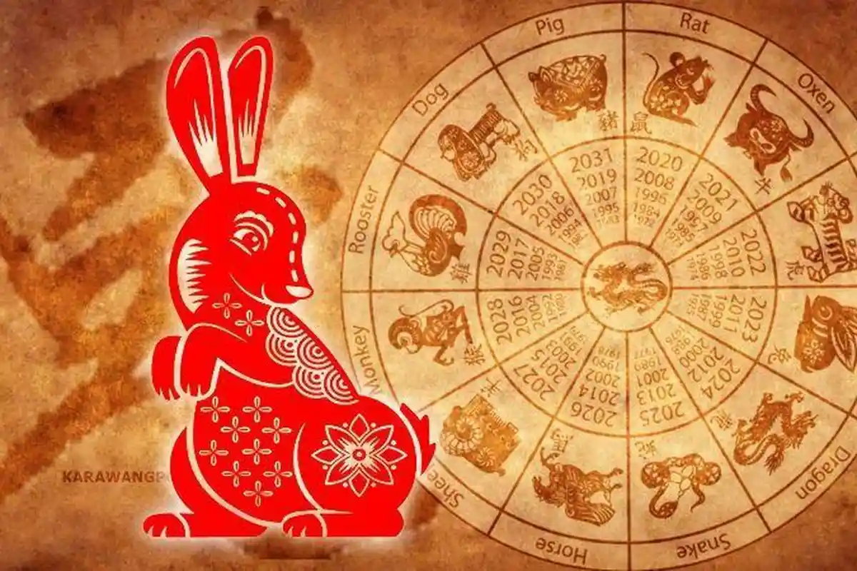 Ramalan Shio Kelinci di Tahun 2023, Simak Deretan Pekerjaan Paling Cocok, Elemen hingga Karakternya