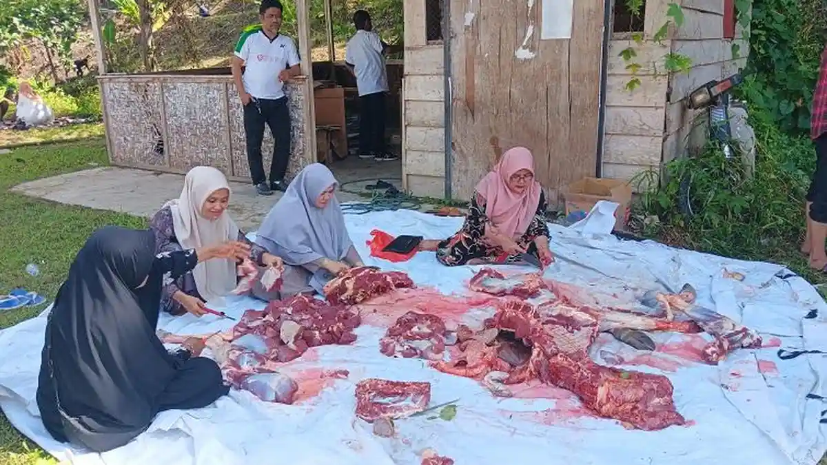 Dokter Hewan DTPHP Sulbar Temukan Cacing di Hewan Kurban di Mamuju