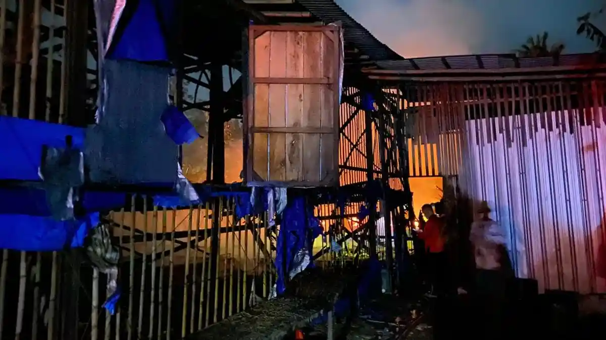 BREAKING NEWS: Kebakaran Kandang Ayam di Demak, Damkar Masih Cari Tahu Pemicunya