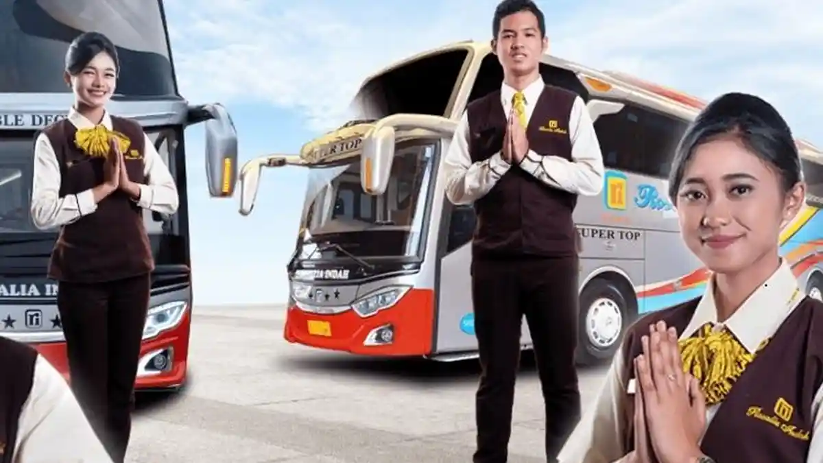 Gaji Sopir Bus Mewah Rosalia Indah yang Ada Pramugarinya, Dihitung 1 Kali Pulang-Pergi