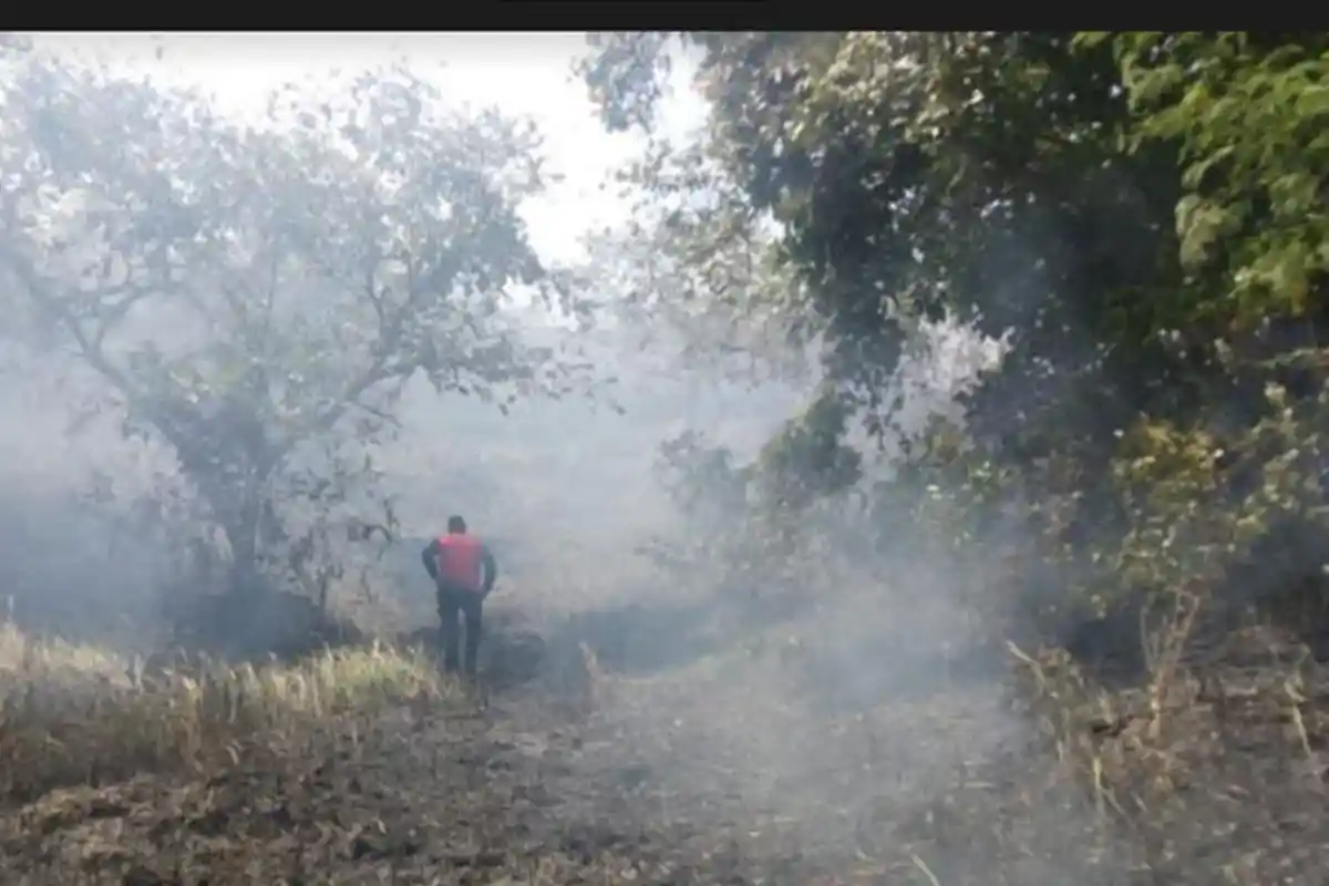 Kebakaran Lahan di Lhokseumawe, Api Nyaris Sengat Rumah Warga di Blang Panyang