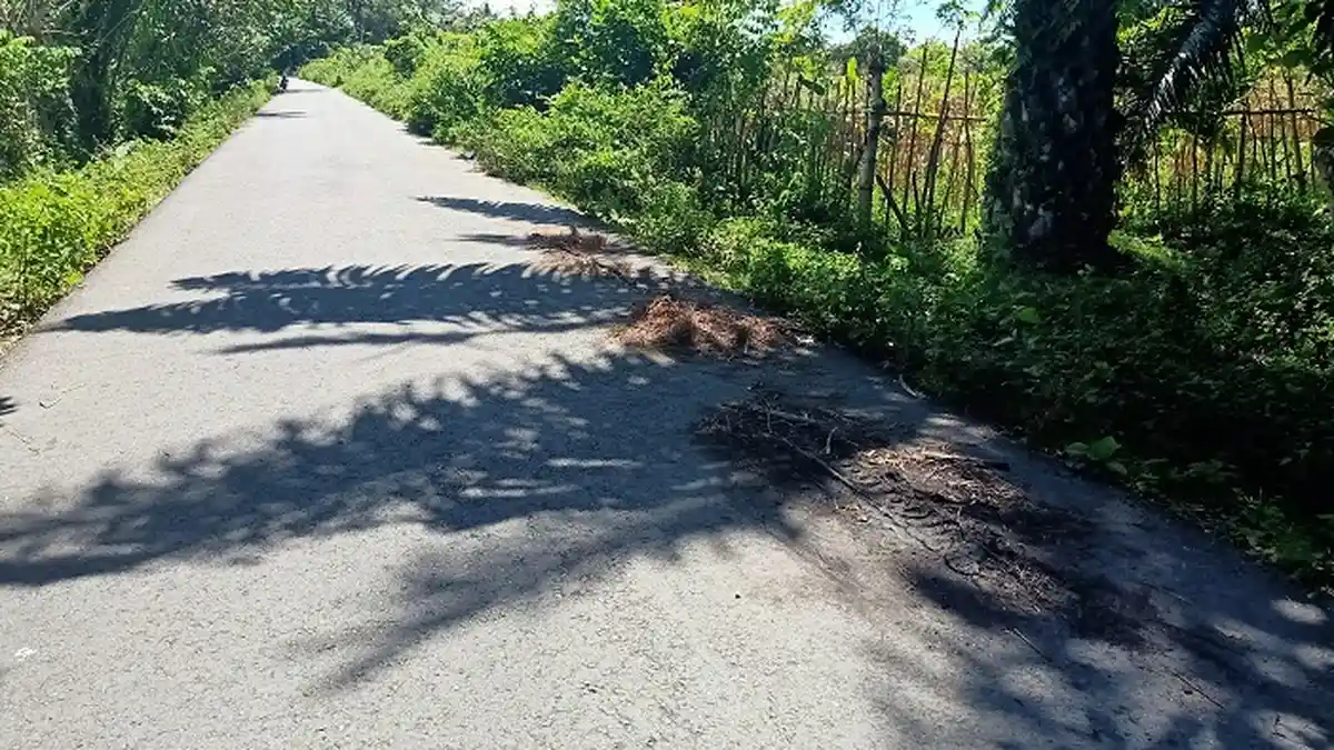 Ini Kesaksian Petani di Lokasi Putus Tangan Perawat RSUTP Abdya