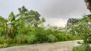 gerimis-di-gala-puncak-7-juni-2022.jpg
