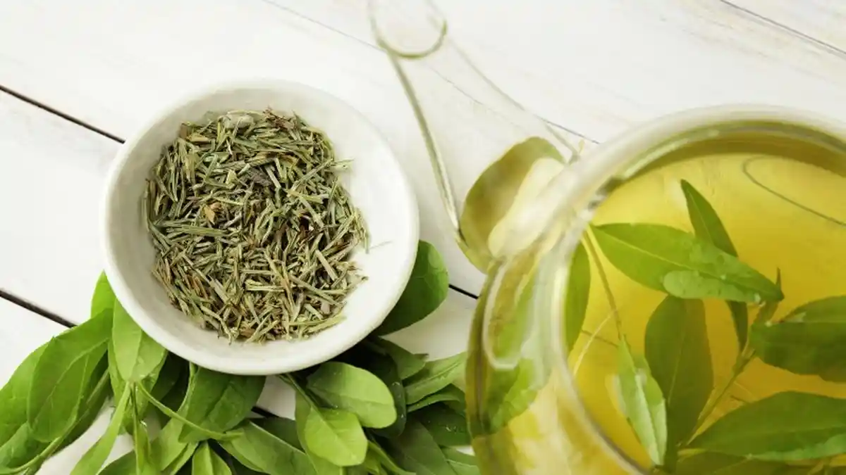 6 Minuman yang Dapat Bantu Turunkan Berat Badan, Teh Hijau hingga Kopi