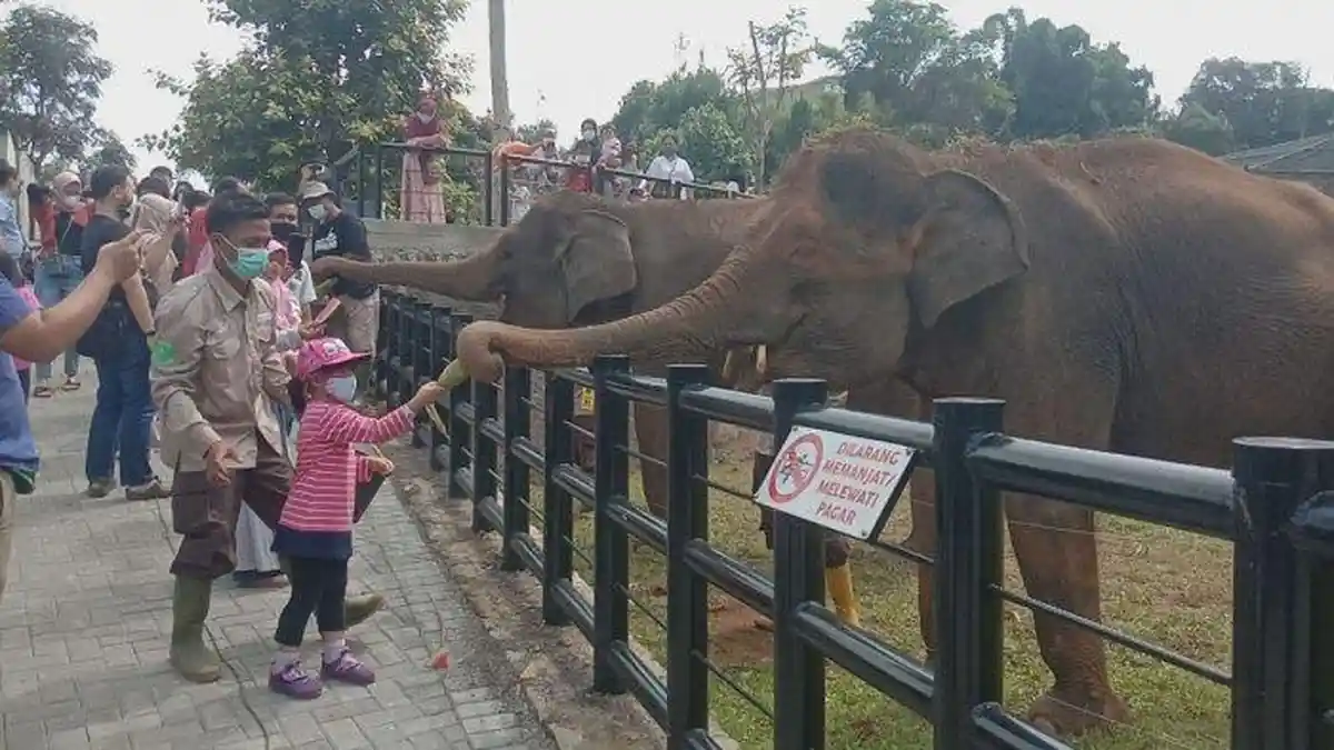 Harga Tiket Masuk Lembang Park & Zoo Selama Libur Lebaran 2025
