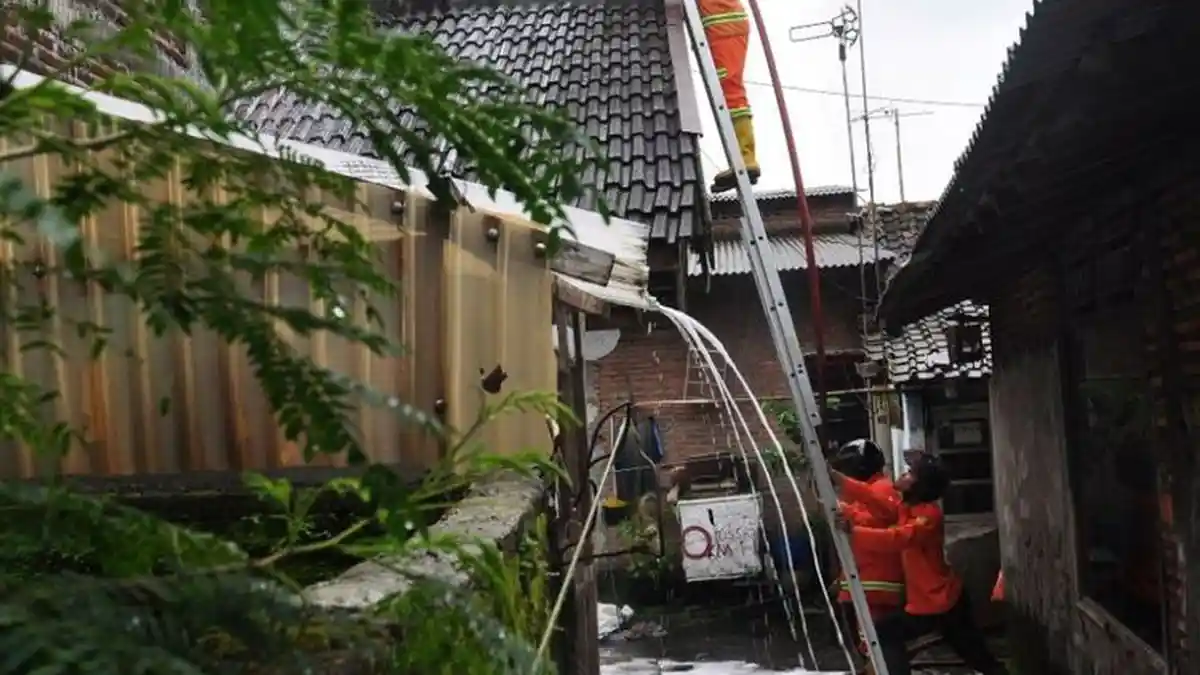 Unik! Cara Usir Tawon Tim SAR Cukup Pakai Air Sabun. Begini Caranya!