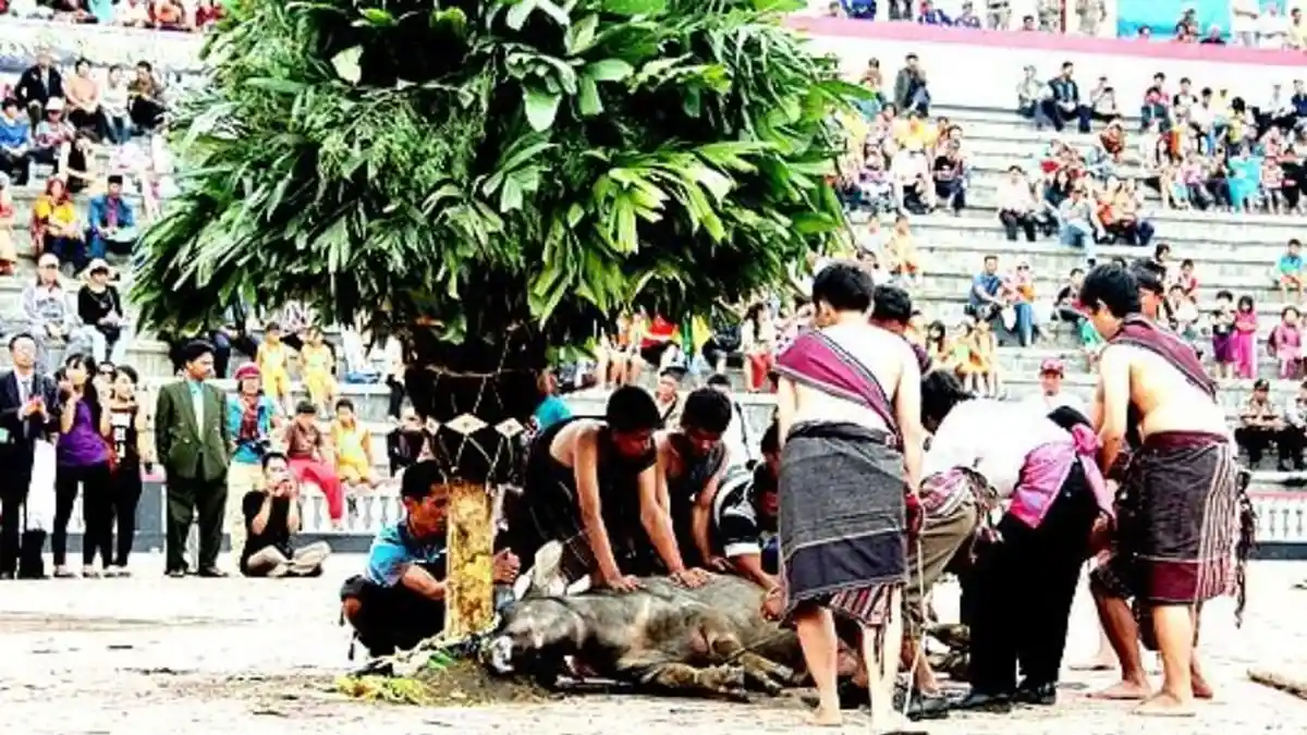 Mangalahat Horbo, Tradisi Batak Toba, Ritual Pemberian Persembahan Terhadap Mulajadi Na Bolon