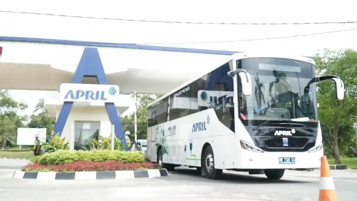 Investasi PT RAPP Buat Pangkalan Kerinci Berkembang Pesat Jadi Kota ...