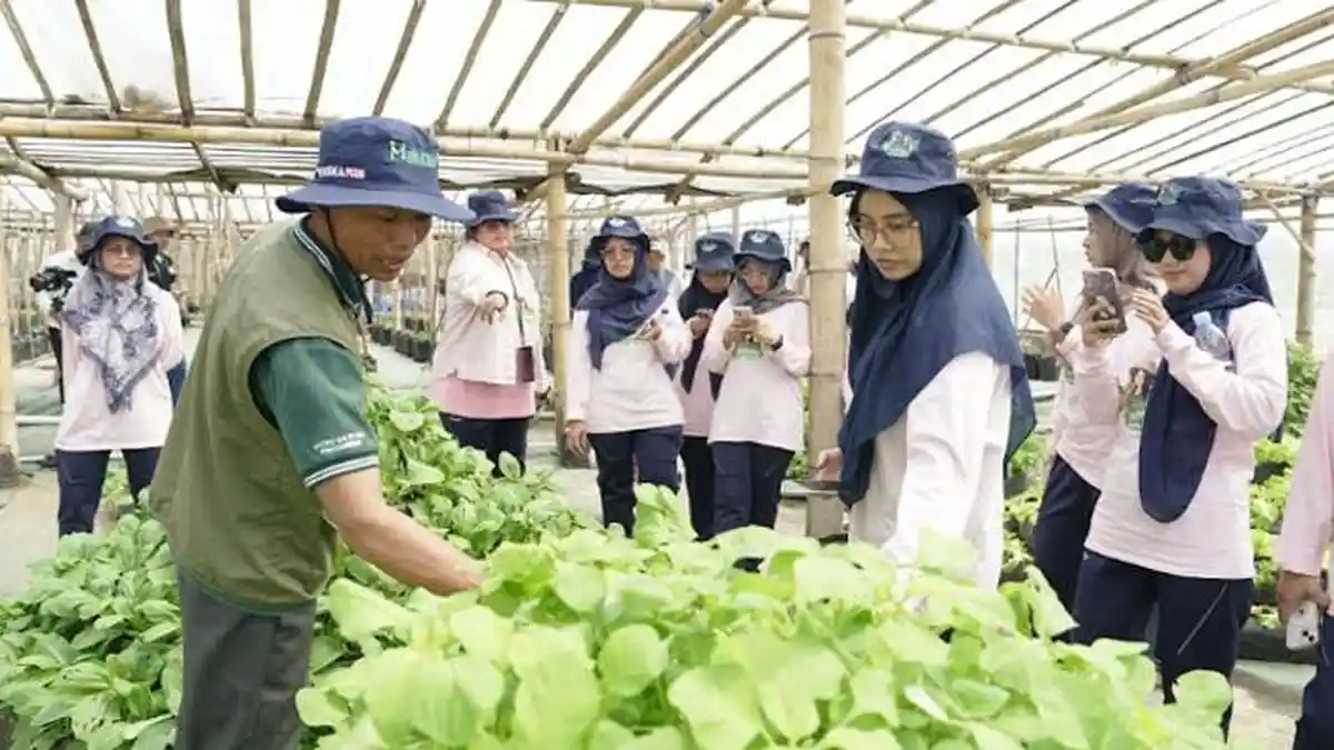 Dukung Ekonomi Kerakyatan, Petrokimia Gresik Lakukan Program Tameng dan Lontar