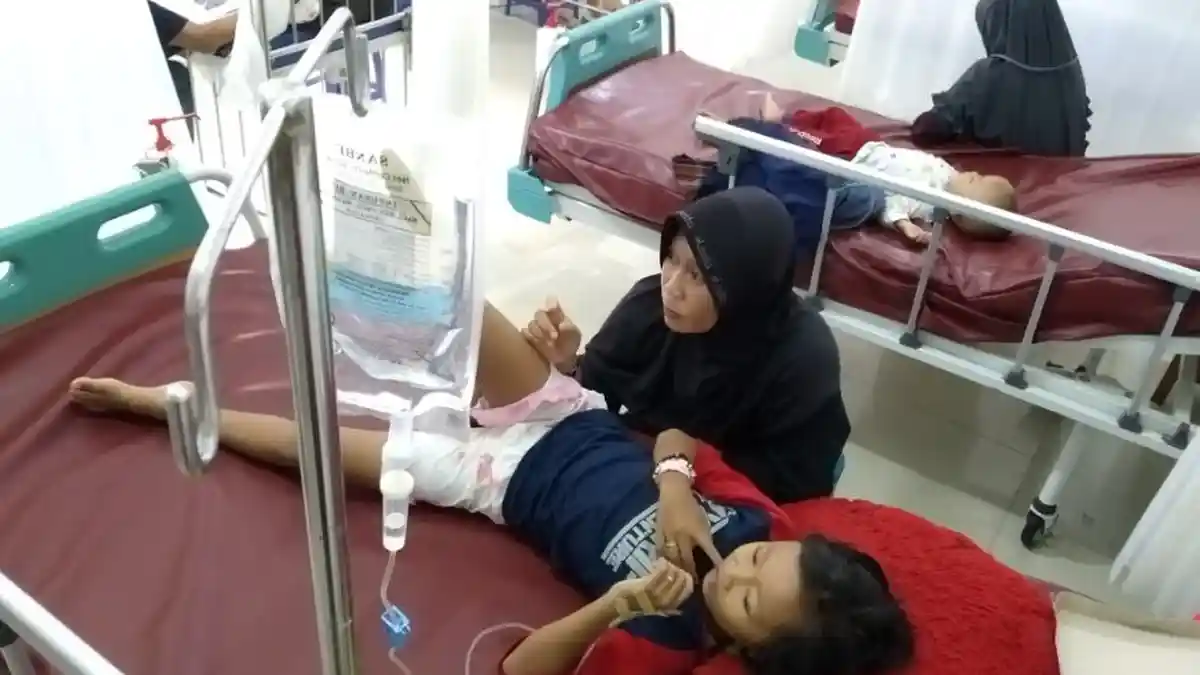 Kasus DBD di Ciamis Kian Merebak pada Maret 2024, Total 355 Kasus, Ada Penderita yang Meninggal