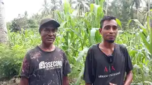 Daniel-kiri-dan-Loken-kanan-dua-petani-di-Desa-Nawokote-Kecamatan-Wulanggitang.jpg