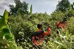 Pencarian-orang-Hilang-hutan-purbalingga.jpg