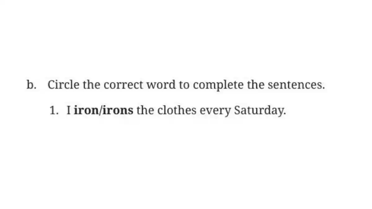 Kunci Jawaban Bahasa Inggris Kelas 7 Halaman 123, I Iron/Irons The Clothes Every Saturday