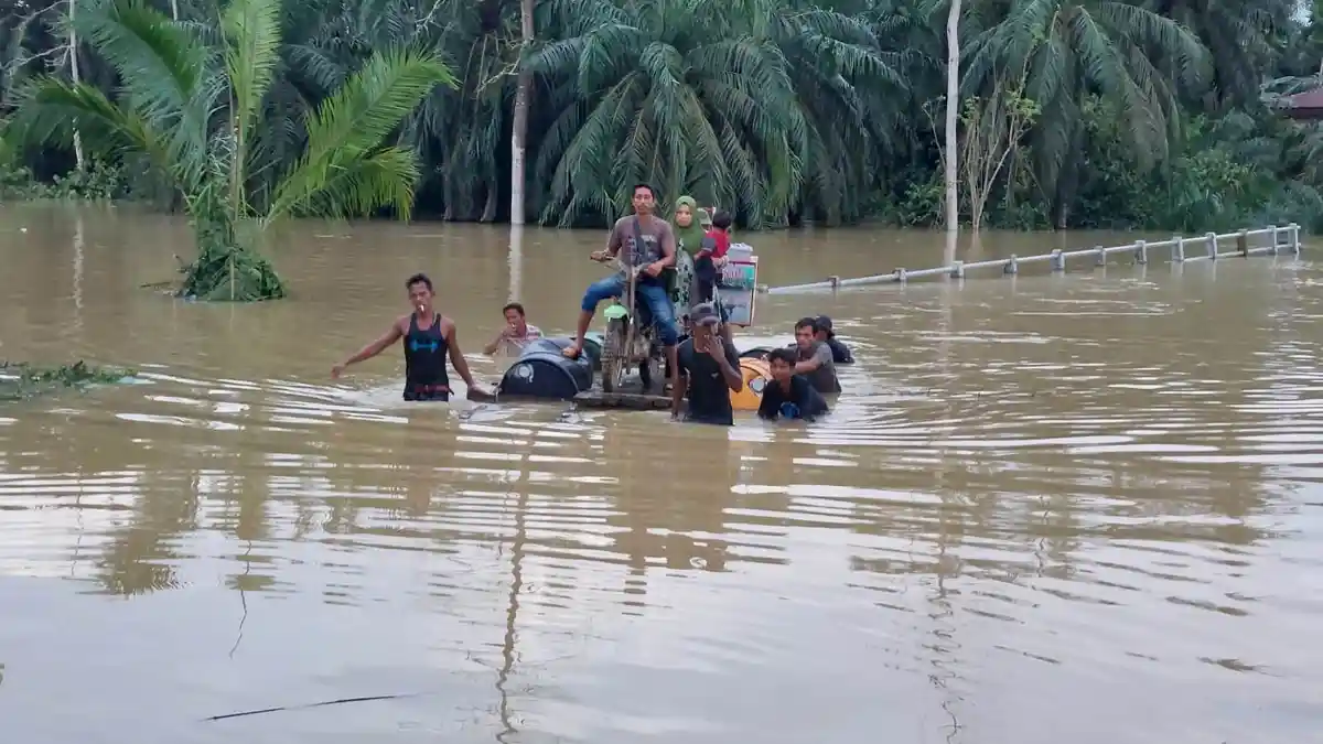 Pengamat: Banjir akibat Alih Fungsi Hutan yang Sangat Tinggi