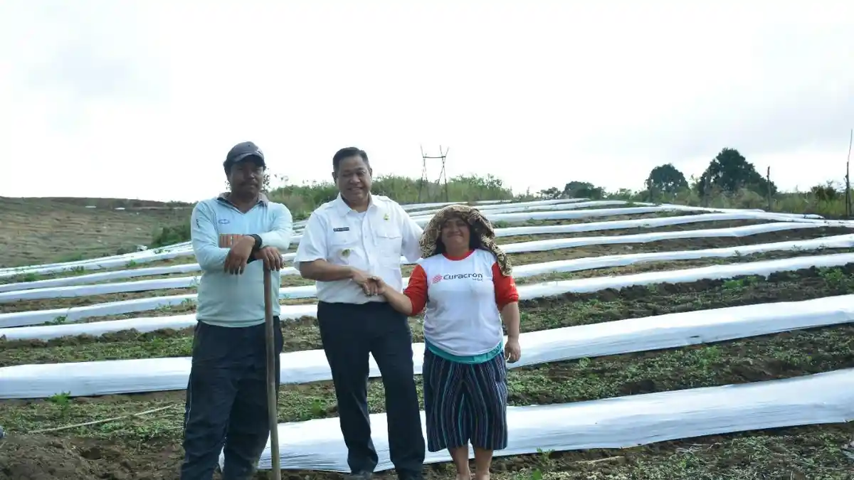 Pemkab Dairi Canangkan Pertanian Terpadu, Rumondang Pasaribu: Semoga Panennya Melimpah