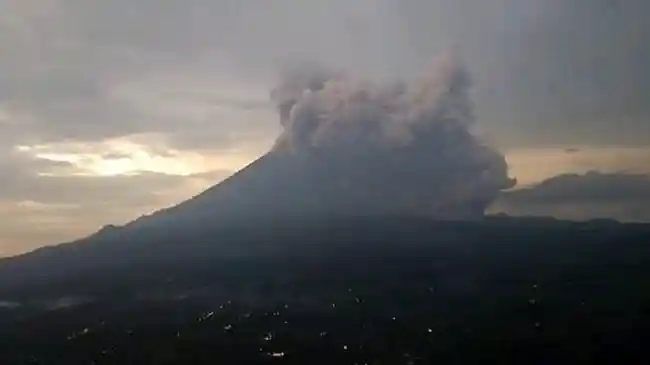 Tribun