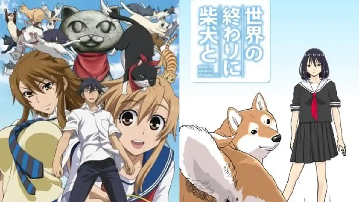 Ada yang Dikutuk Bisa Paham Ucapan Kucing, 5 Anime 17+ Bertema Hewan Peliharaan, Termasuk Nyan Koi!