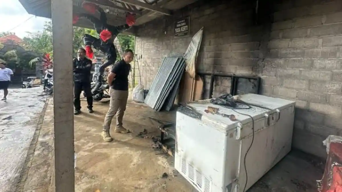 Diletakkan Sebelah Freezer Mayat, Ogoh-ogoh Babi Setinggi 2 Meter di Buleleng Tiba-tiba Terbakar