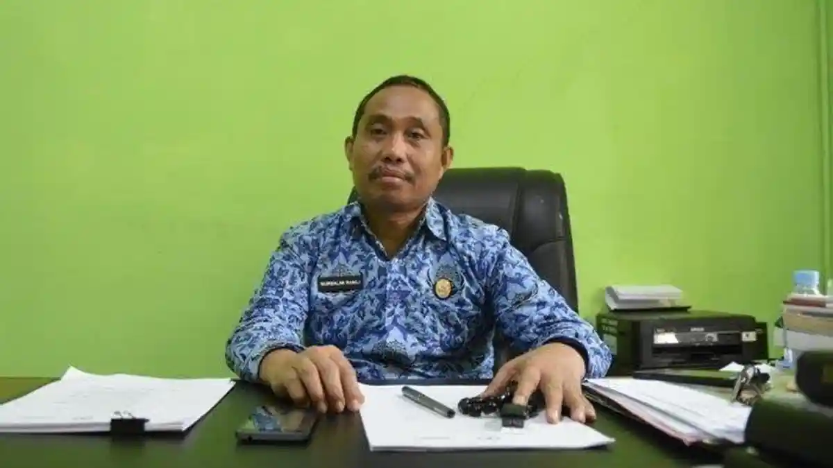 Kabupaten Luwu Utara Dapat Jatah 439 Formasi CPNS dan PPPK, Ini Rinciannya