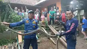ularsancacacacacacac.jpg