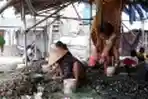 Potret Nelayan Pengupas Kerang