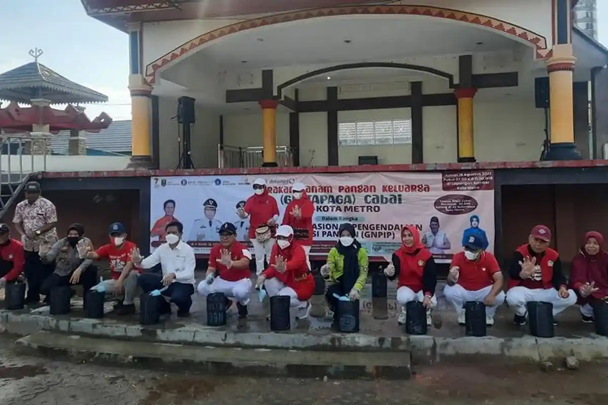 Pemkot Metro Lampung Ajak Masyarakat Menanam Cabai di Halaman Rumah