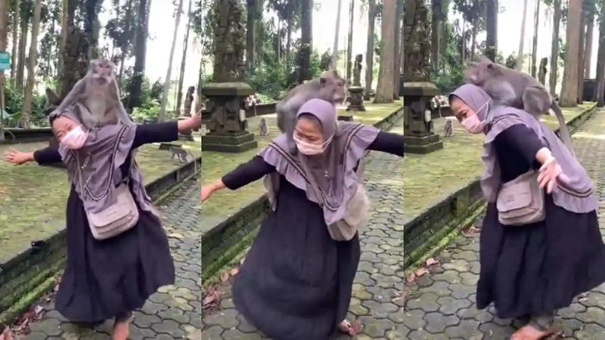 Viral Seorang Ibu Asyik Berjoget Sambil Gendong Monyet, Keluarga Langsung Tertawa Lihat Aksinya