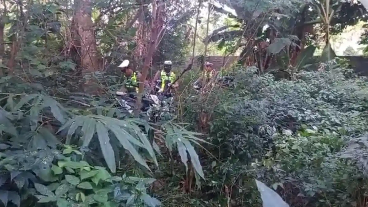 Polisi Temukan Belasan Motor Disembunyikan di Semak-semak Kebun di Lumajang