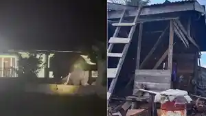 Gajah-liar-masuk-ke-pemukiman-warga-di-Kampung-Negeri-Antara.jpg