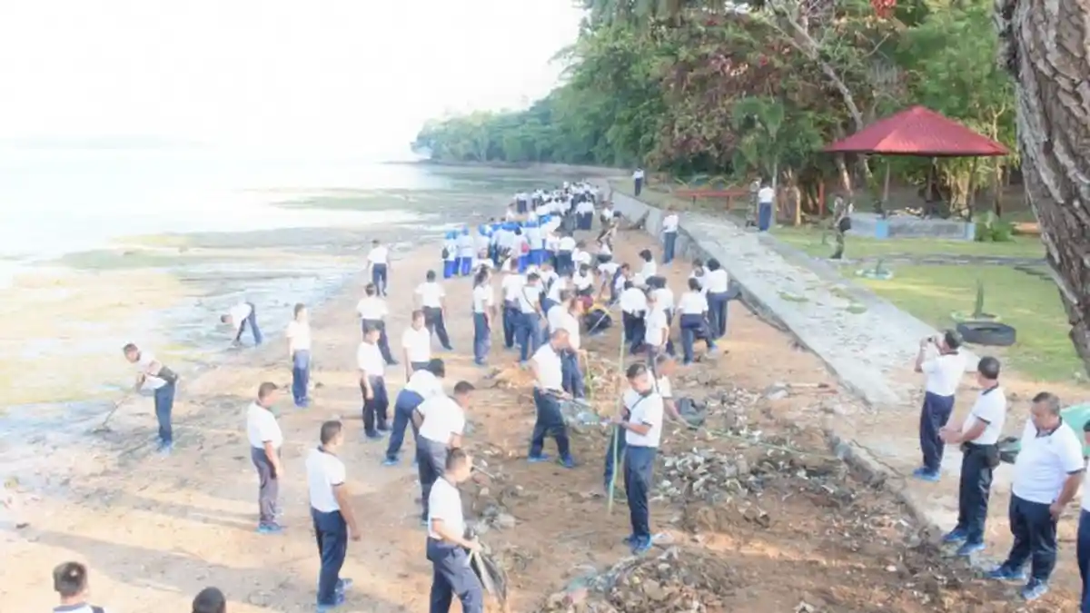 Lantamal IV Tanjungpinang Lepas Ratusan Tukik ke Laut