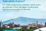 Profil-Lengkap-PT-Vale-Indonesia-Tbk.jpg