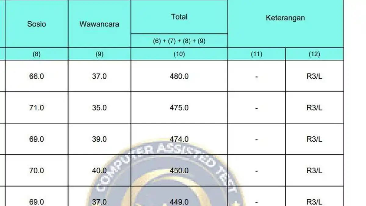 Arti Kode L, R2, R3, R4, TH, TMS, APS, DIS pada Kolom Keterangan Hasil Kelulusan PPPK 2024